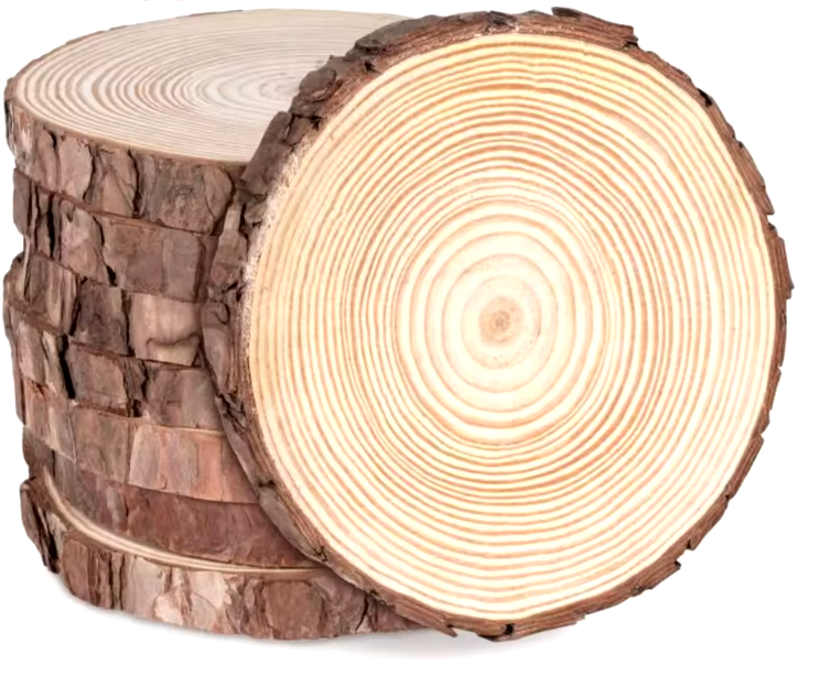 Dikke Grenen Houten Rondes 6-7 cm