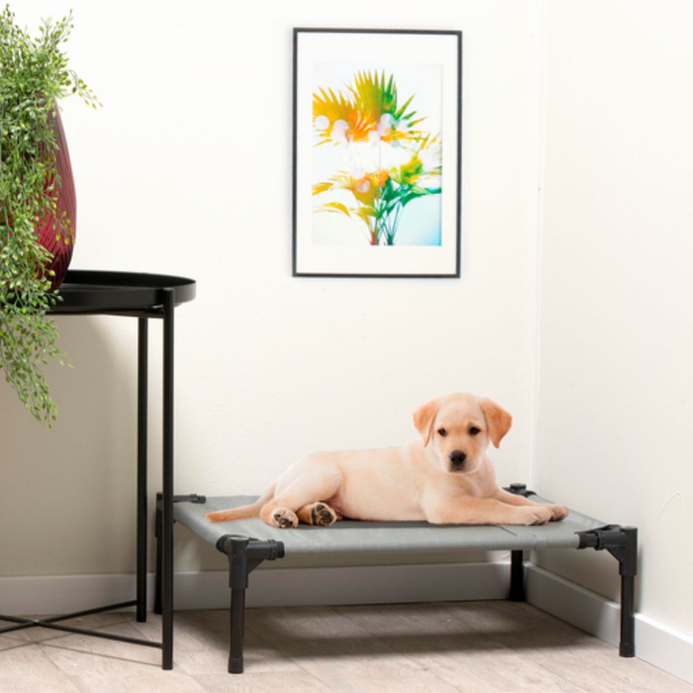 Pet Bed Elevated Small
