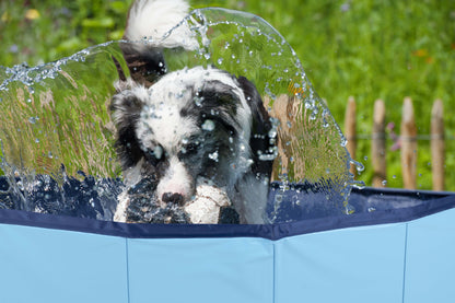 Dog Swimming Pool Medium