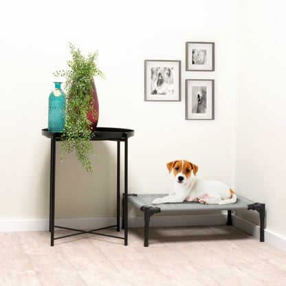 Pet Bed Elevated Small
