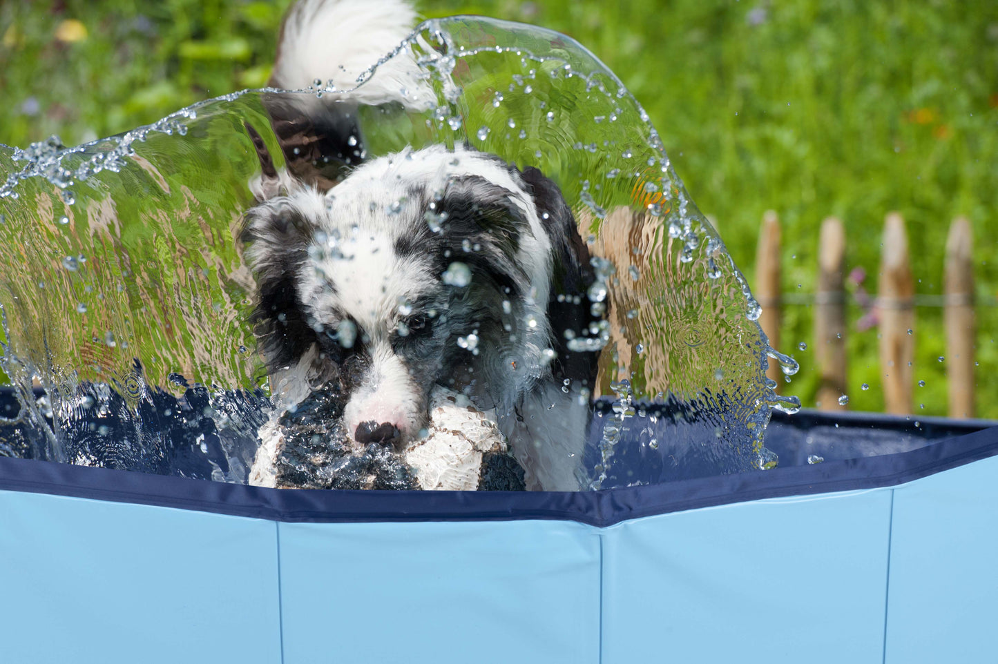Dog Swimming Pool Small