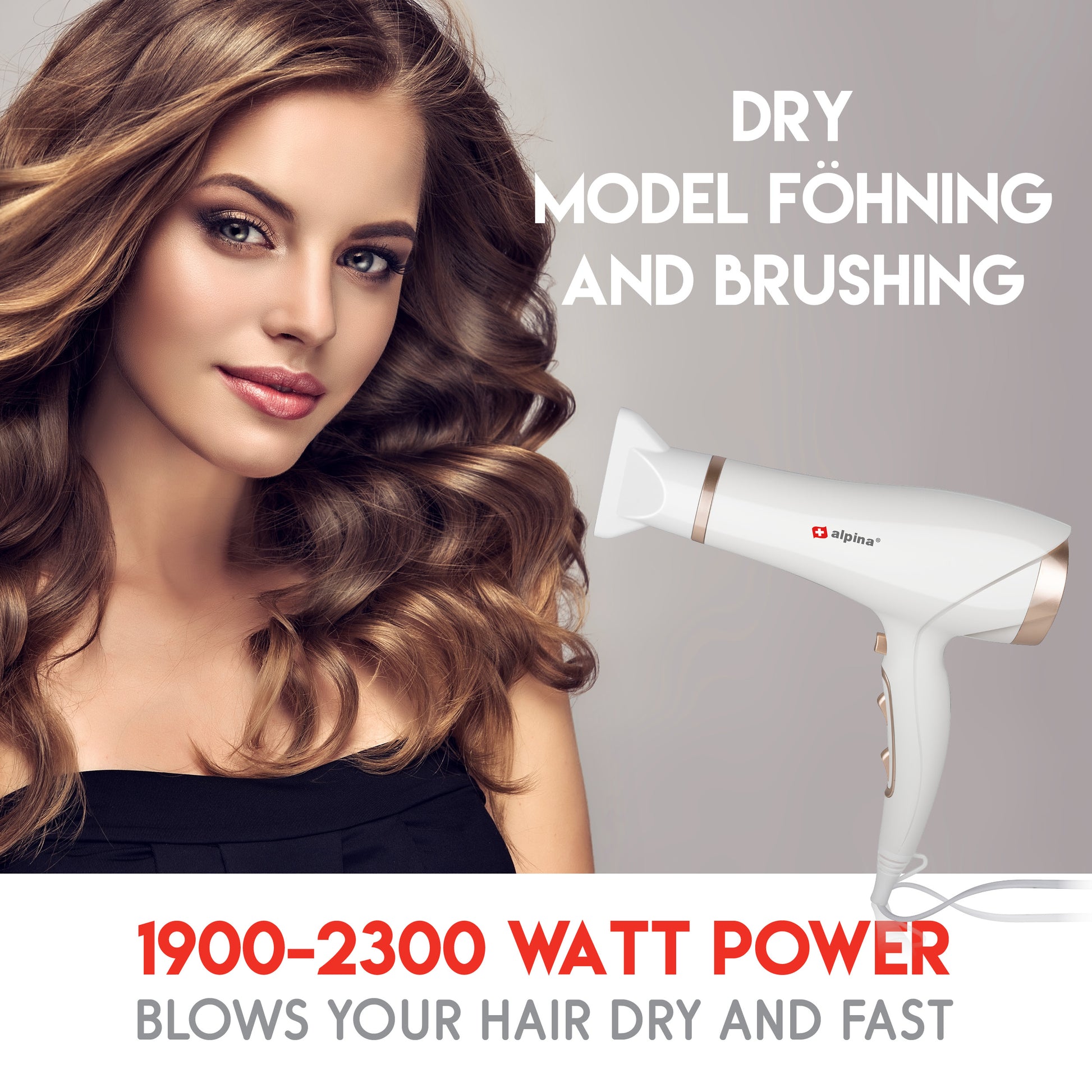 Hair Dryer 1900-2300W