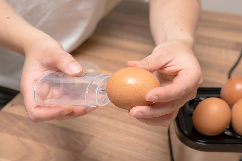 Egg Boiler 230V 210W