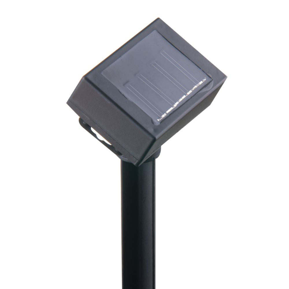 Solar String Lampion Led 240Cm