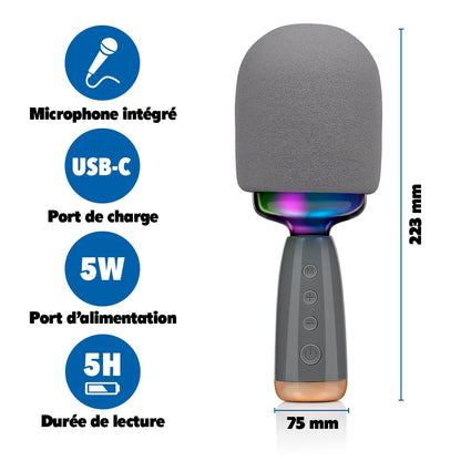 Karaoke Microphone Speaker