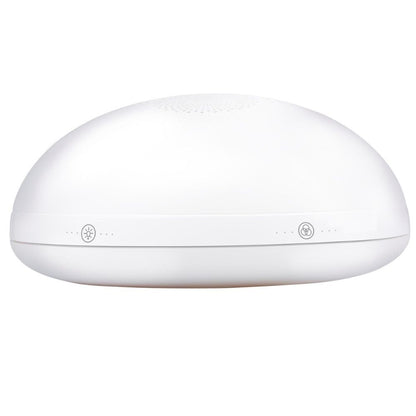 Wake-Up Light Wekker Met Radio