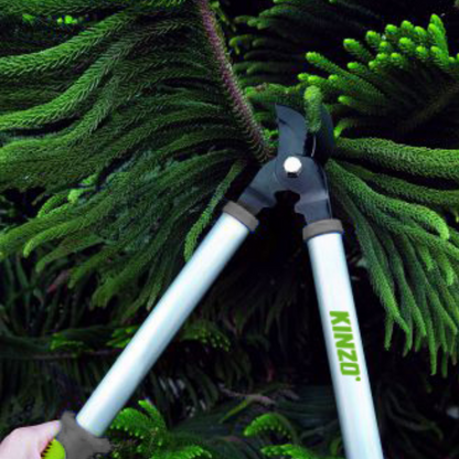 Branch Clippers 48Cm
