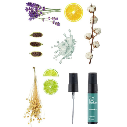 Variatiebox - 6 Geuren Van The Car Parfum