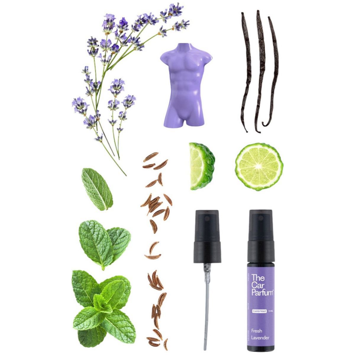 Variatiebox - 6 Geuren Van The Car Parfum