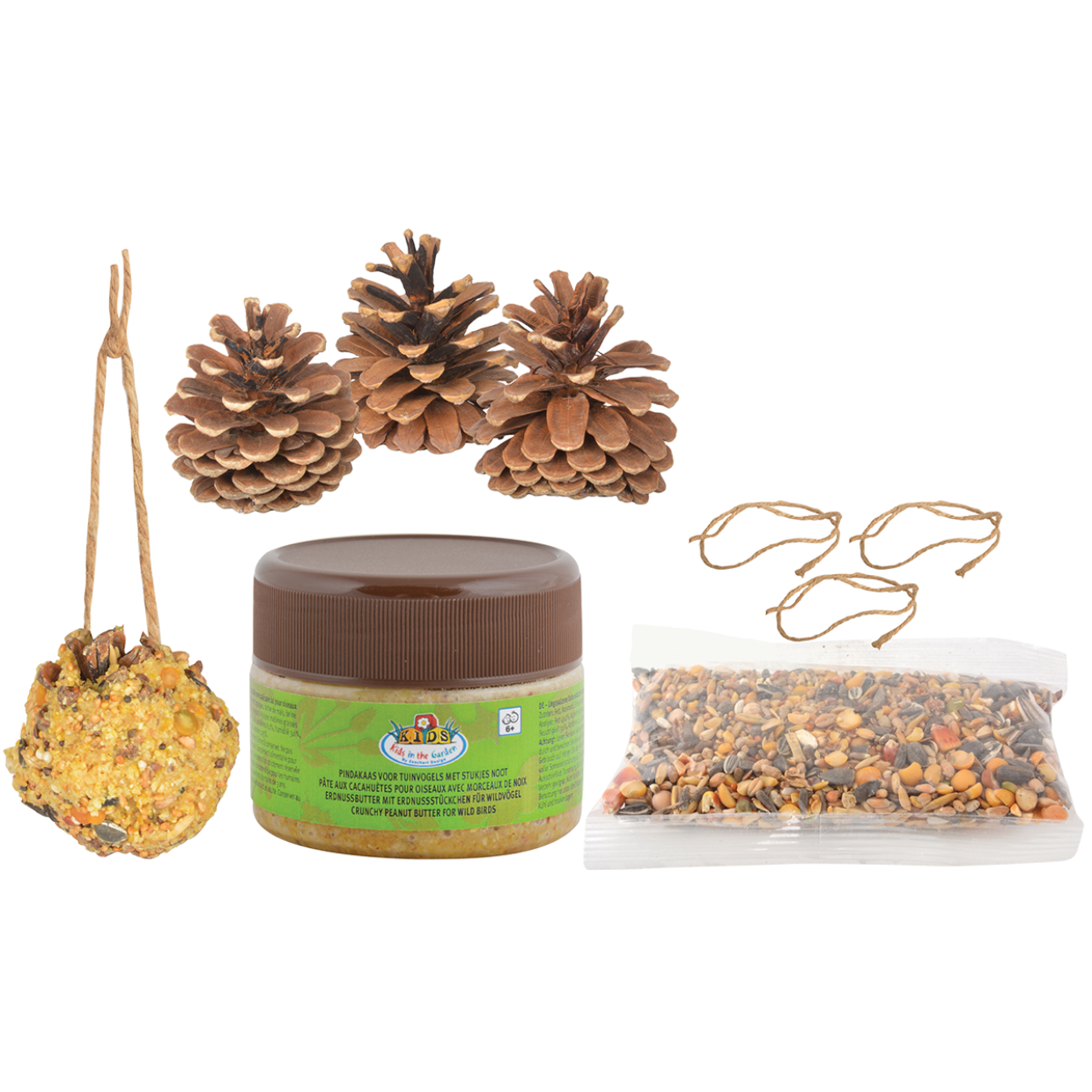Diy Bird Feeder Pine Cones - Do-It-Yourself