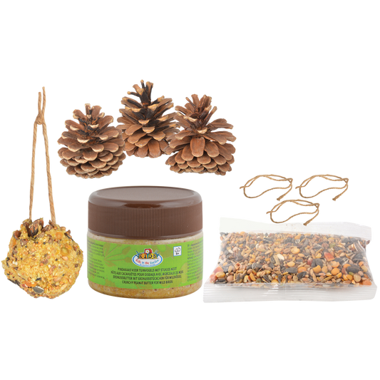 Diy Bird Feeder Pine Cones - Do-It-Yourself