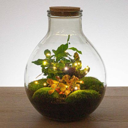 Battery-Operated String Lights - 1 Meter - Warm White - 20 Led Lights