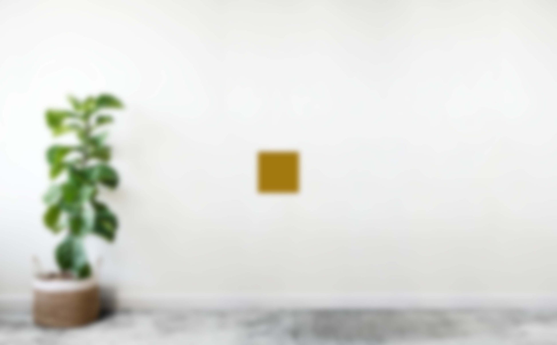 Noora - Cork Wall Tile - 25 X 25 Cm - Square - Moss Wall Art