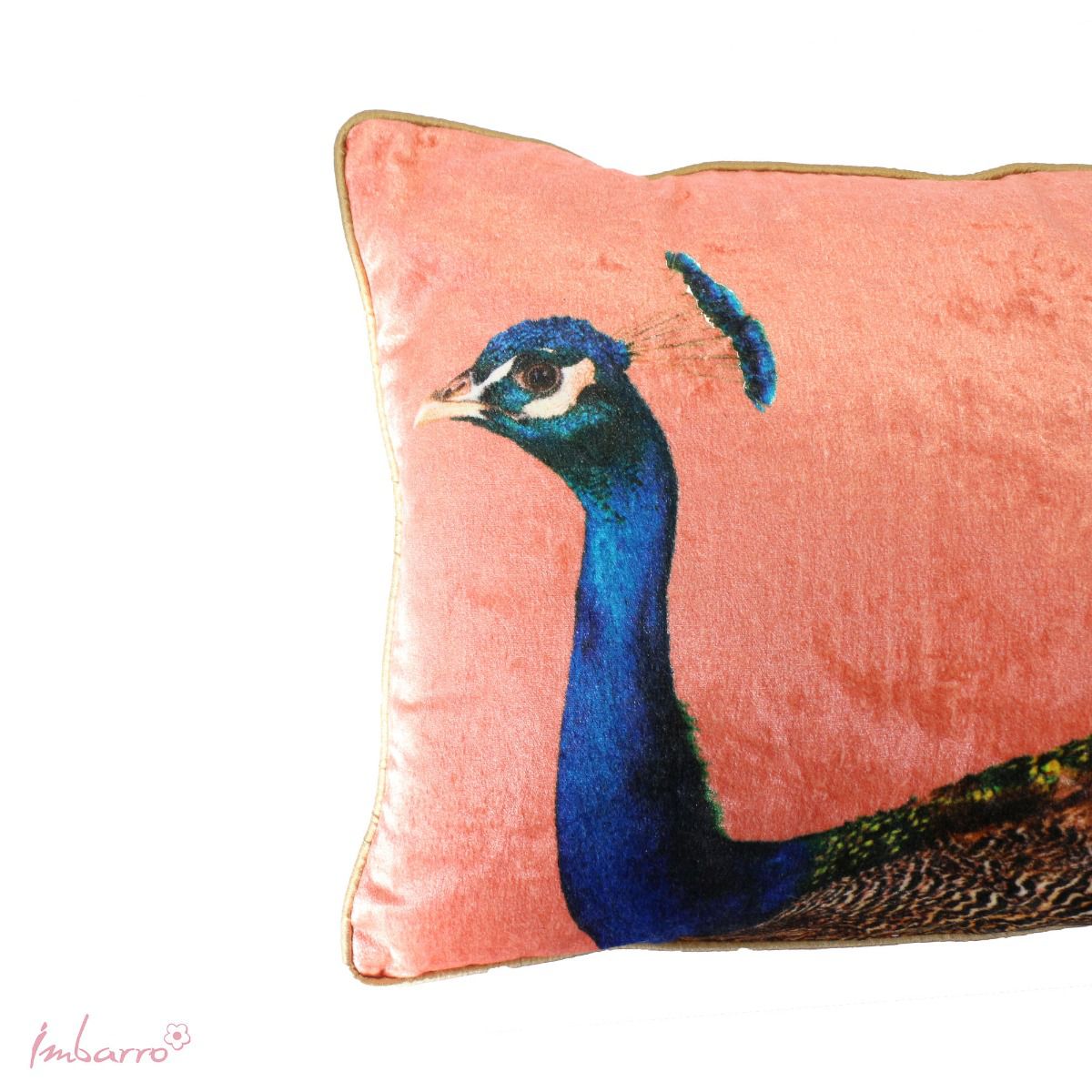 Cushion Eloise – 40X60 Cm - Imbarro