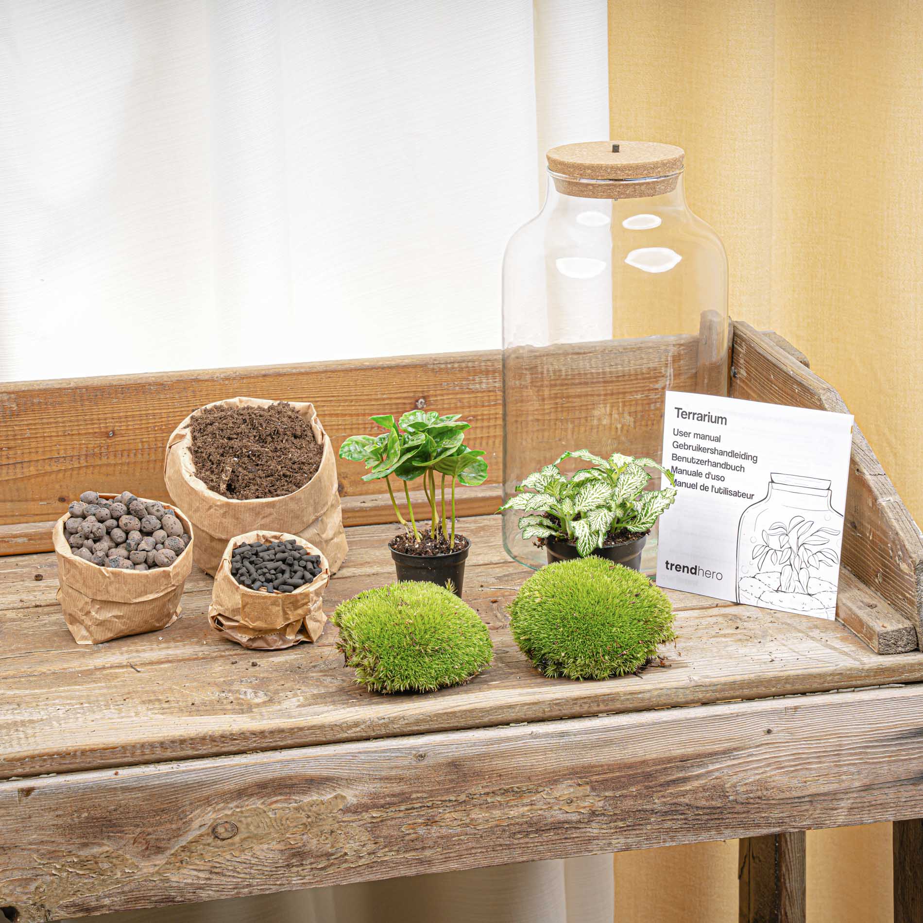 Terrarium Diy Kit - Milky Coffea With Light - Bottle Garden - ↑ 31 Cm