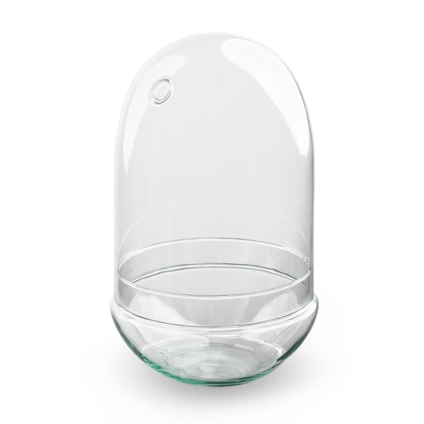 Egg Xl Glass Bulb - Bell Jar - Closed Terrarium ↑ 30 Cm - Model: Egg Xl