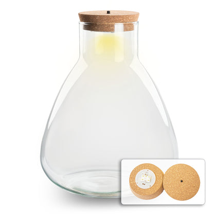 Terrarium With Led Cork - Sam Led - Closed Terrarium ↑ 30 Cm
