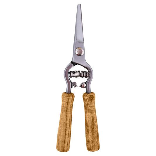 Flower Pruning Scissors - ↑ 21.5 Cm - Steel - Ashwood - Giftbox