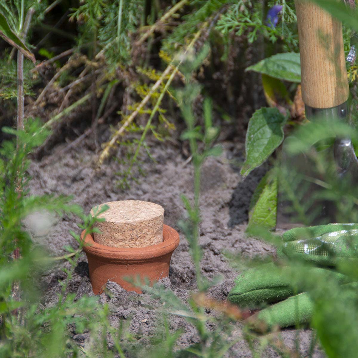 Drainage Pot - Terracotta -  Olla L - ↑ 32 Cm