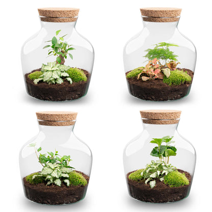 Terrarium Diy Kit - Little Joe - Bottle Garden - ↑ 21.5 Cm