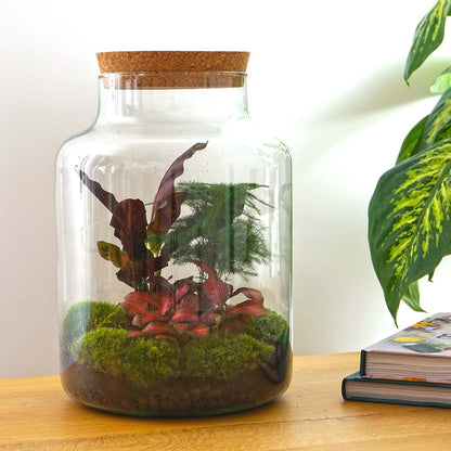 Terrarium Diy Kit - Milky - Bottle Garden - ↑ 30 Cm