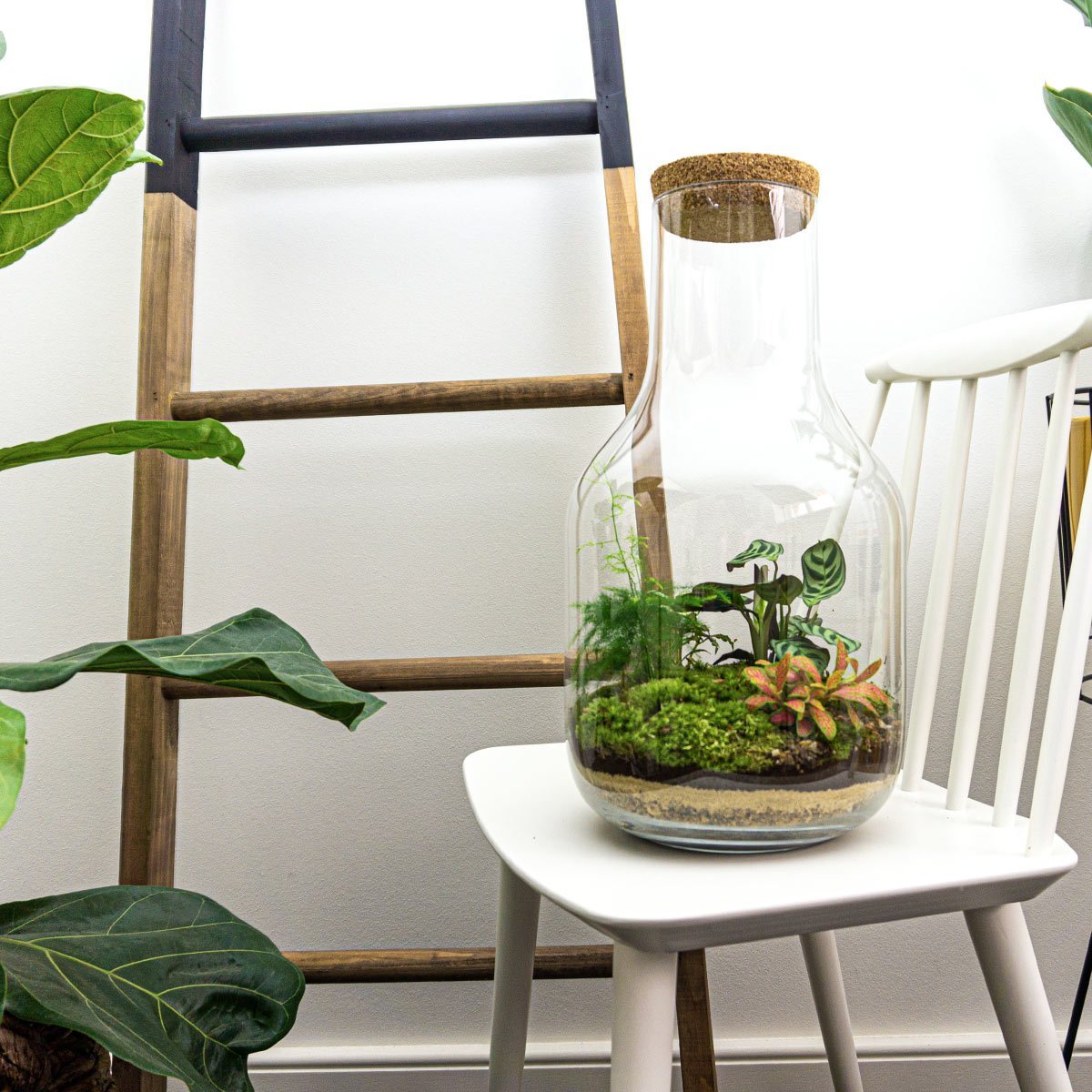 Terrarium Diy Kit • Long Tom Xl • Ecosystem With Plants • ↑ 43 Cm