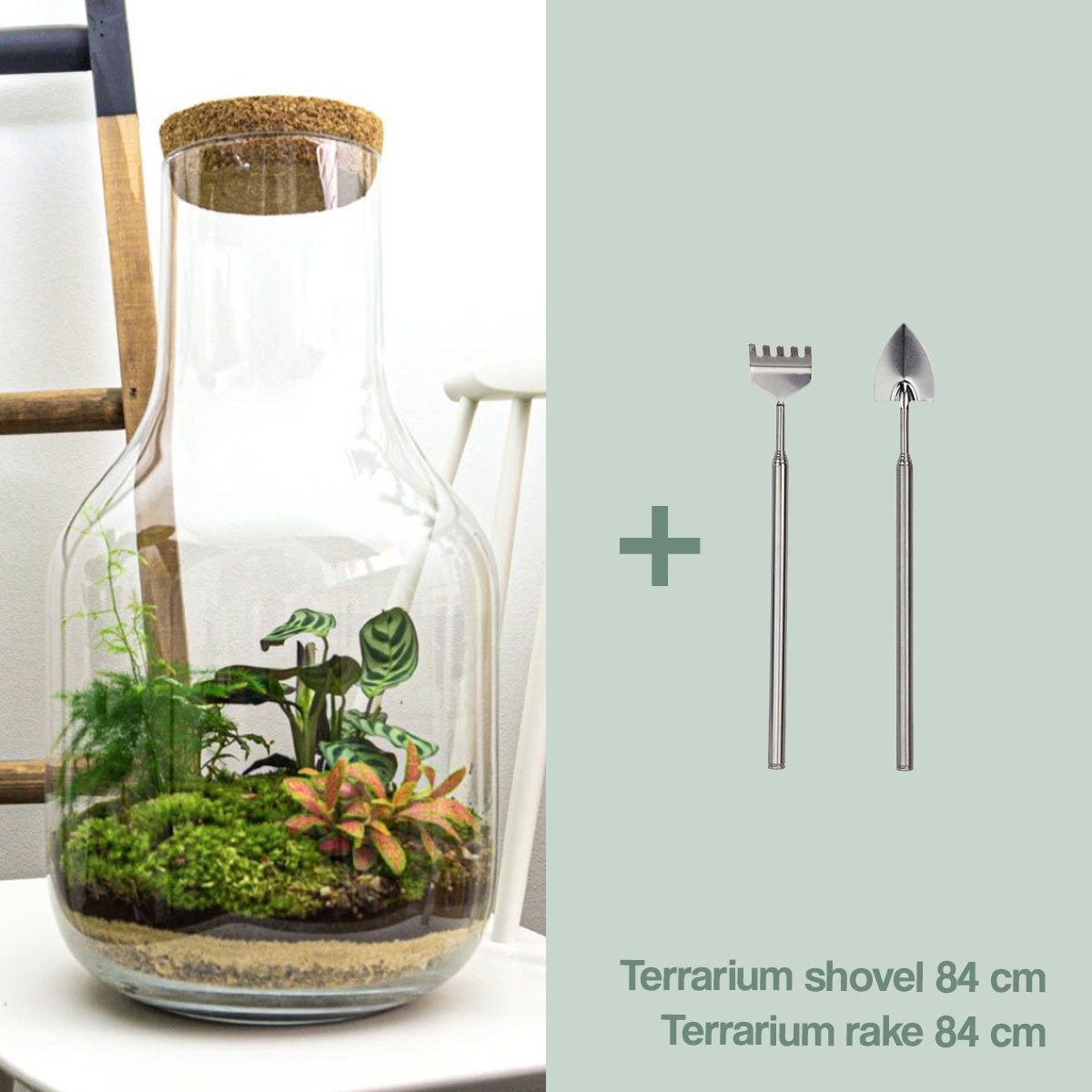 Terrarium Diy Kit • Long Tom Xl • Ecosystem With Plants • ↑ 43 Cm