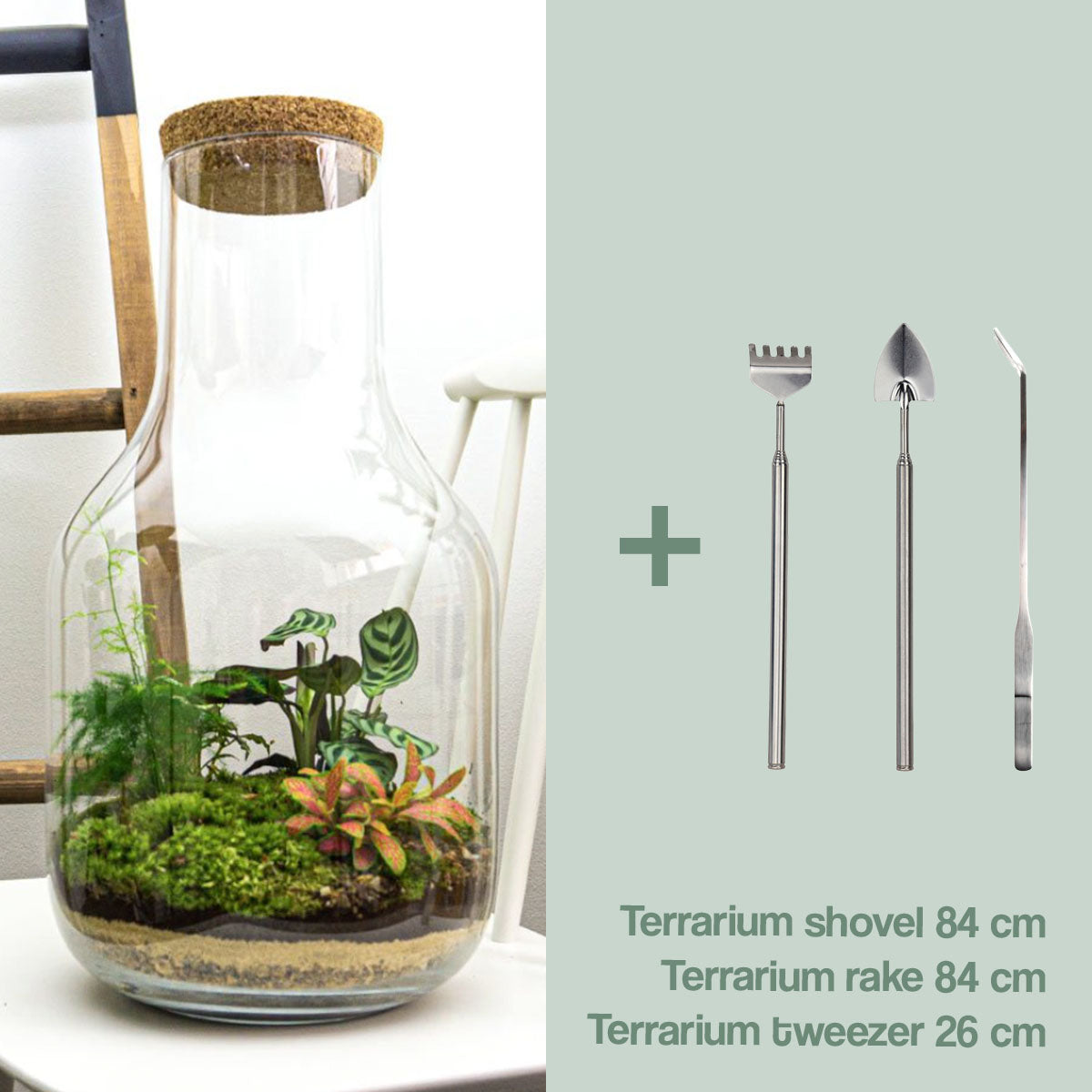 Terrarium Diy Kit • Long Tom Xl • Ecosystem With Plants • ↑ 43 Cm