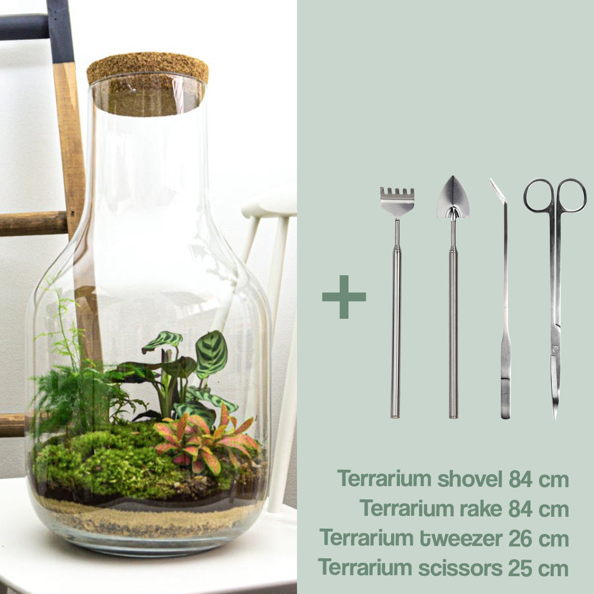 Terrarium Diy Kit • Long Tom Xl • Ecosystem With Plants • ↑ 43 Cm