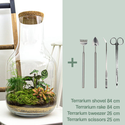 Terrarium Diy Kit • Long Tom Xl • Ecosystem With Plants • ↑ 43 Cm