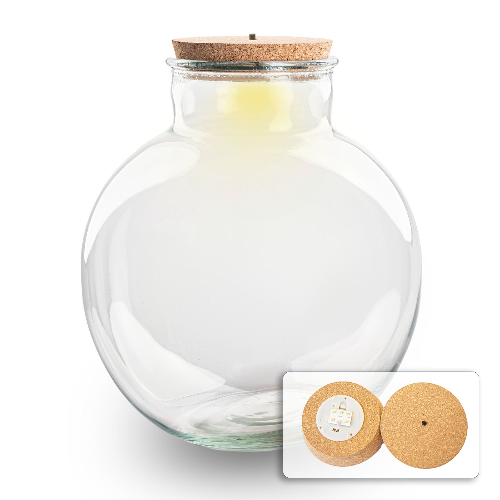 Terrarium Bottle With Led Cork - Bolder Bob - ↑ 30 Cm