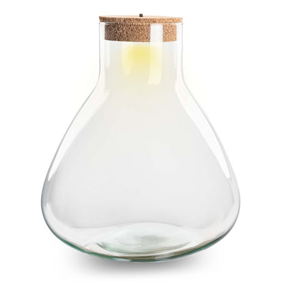 Terrarium With Cork - Sam Xl + Led Cork - ↑ 32 Cm