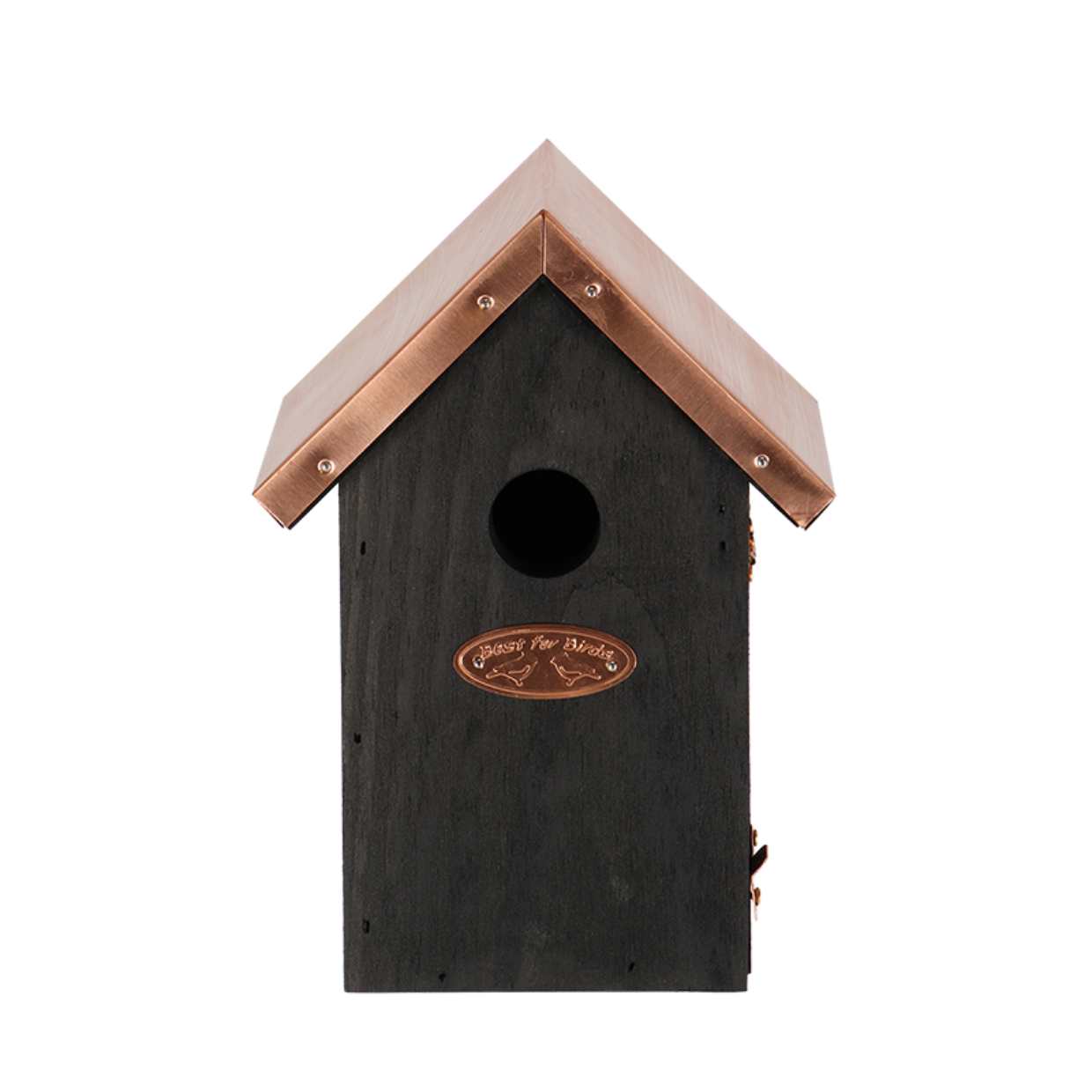 Winter Wren Birdhouse - Nesting Box - Black Copper