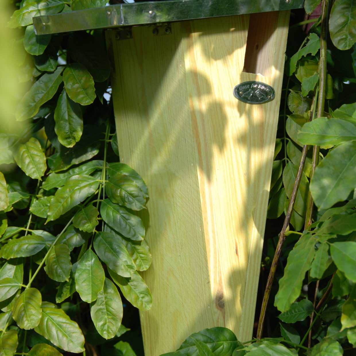 Treecreeper Birdhouse - Nesting Box - Garden Animals