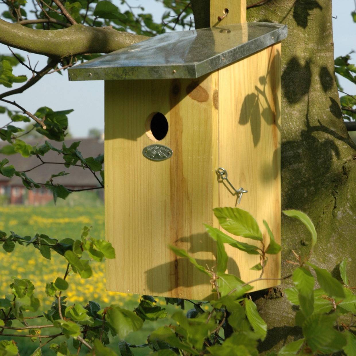 Observation Nesting Box - Birdhouse - Birds & Garden
