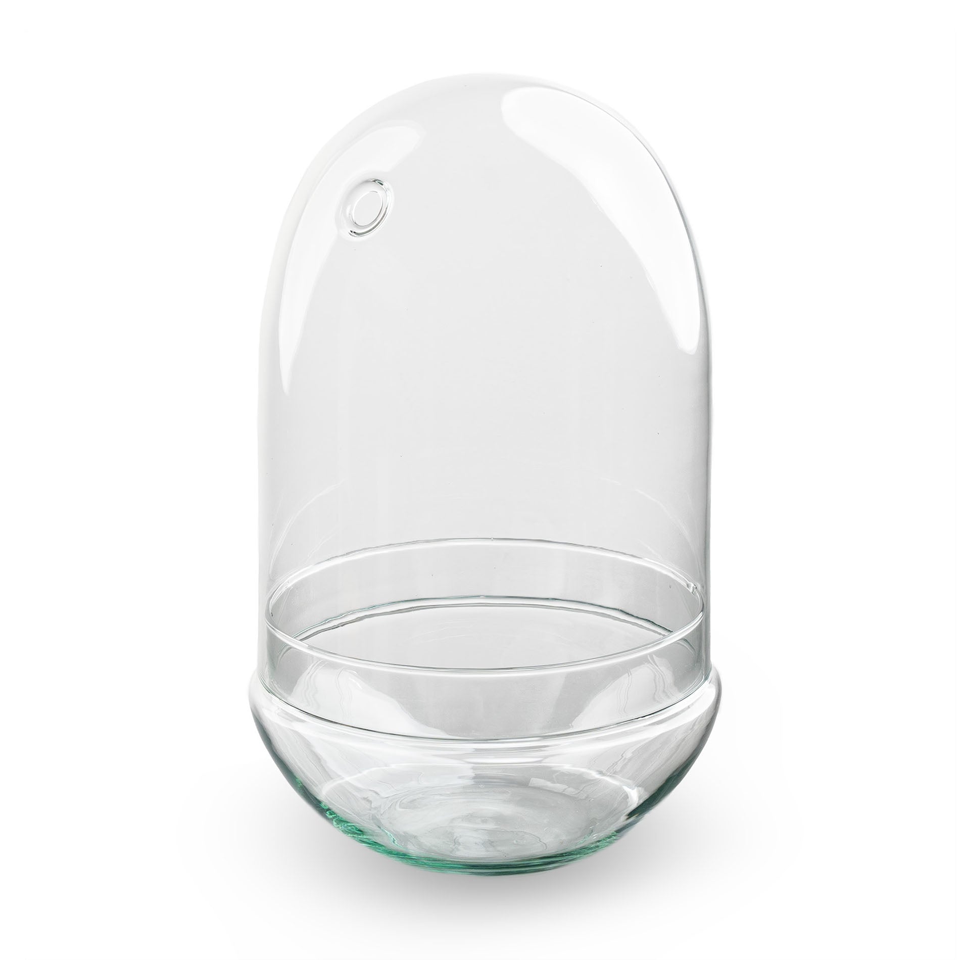 Egg Xl Glass Bulb - Bell Jar - Closed Terrarium ↑ 30 Cm - Model: Egg Xl