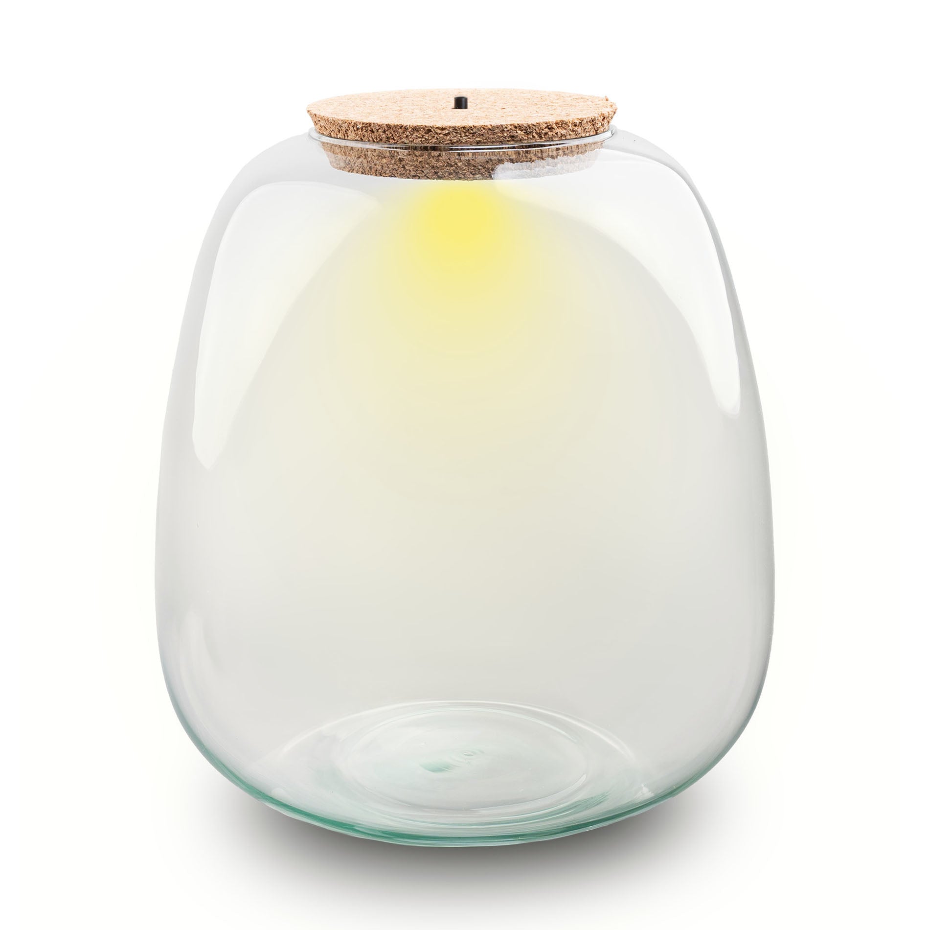 Terrarium Bottle With Cork - Model: Emma + Led Cork  - ↑ 25 Cm -  Ø 23 Cm