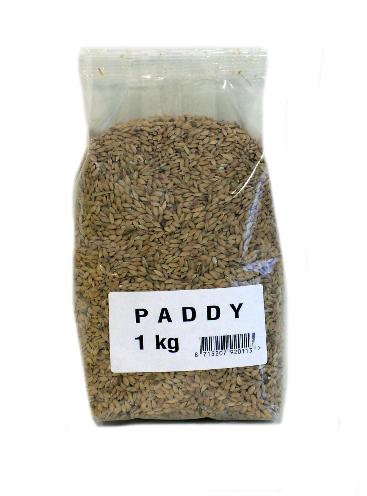 Merkloos Paddy