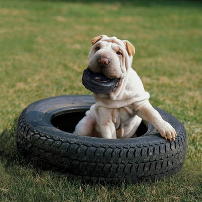 Kong Extreme Traxx Tyres